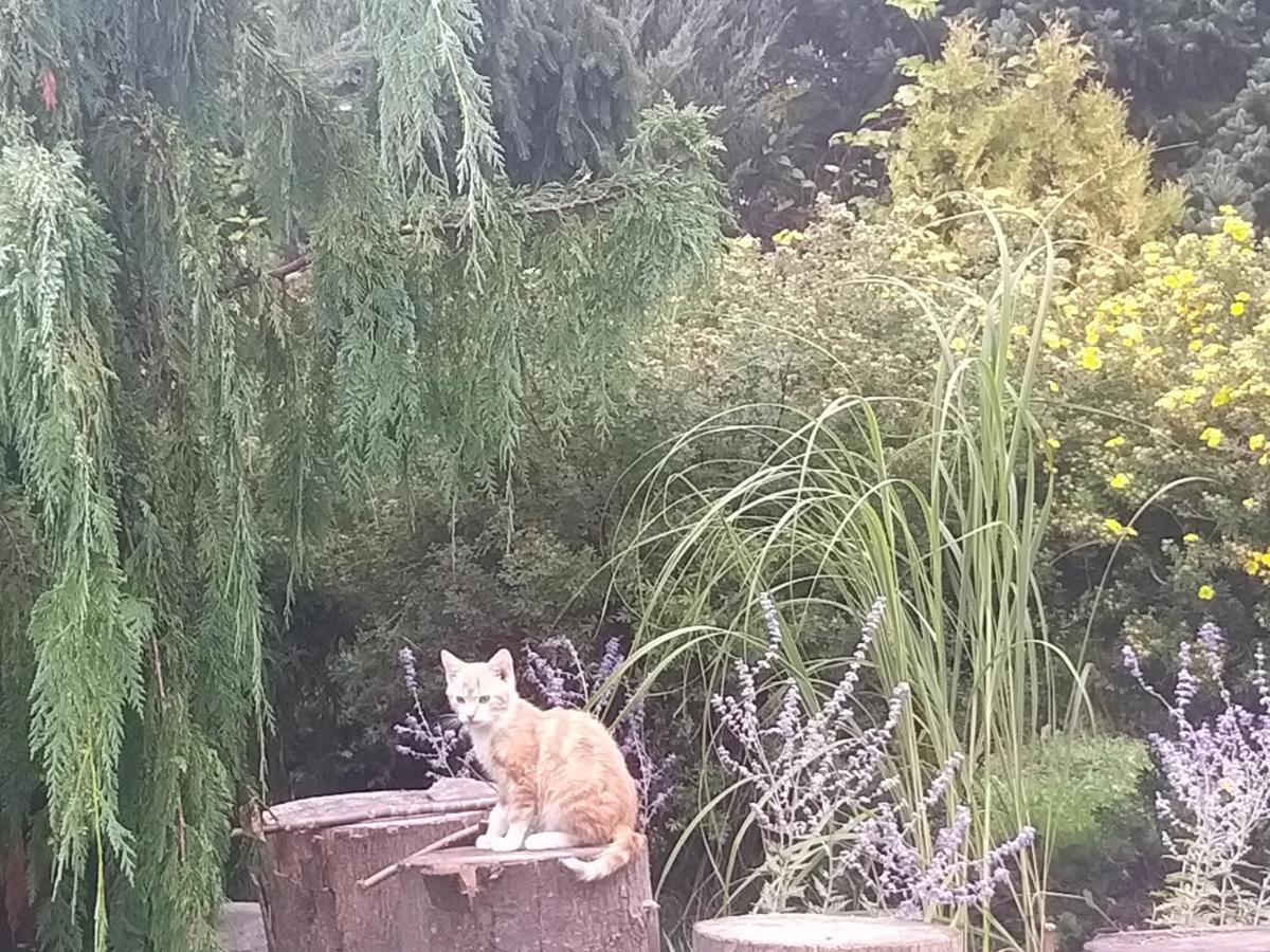 Domek Na Skraju Wsi Dostep Do Jeziora Ublik Villa Konopki Wielkie Dış mekan fotoğraf