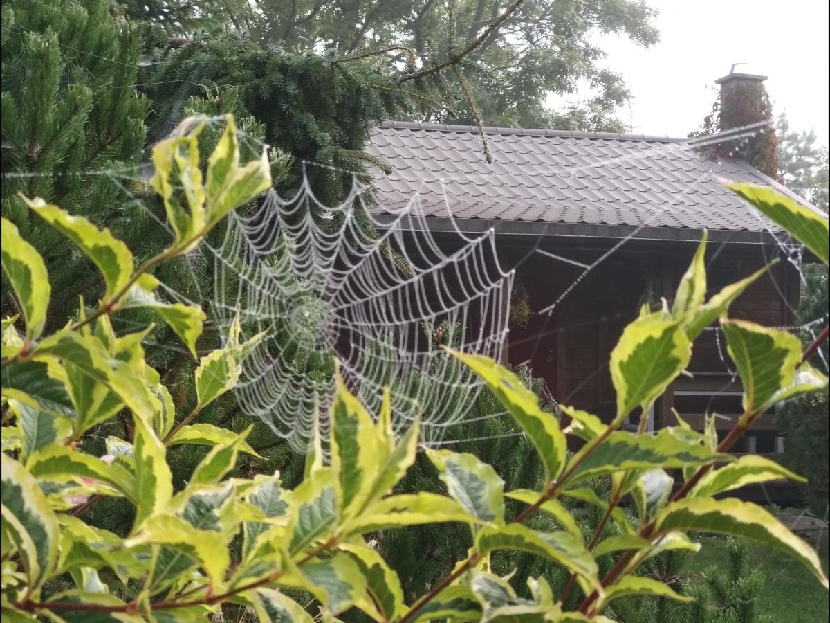 Domek Na Skraju Wsi Dostep Do Jeziora Ublik Villa Konopki Wielkie Dış mekan fotoğraf