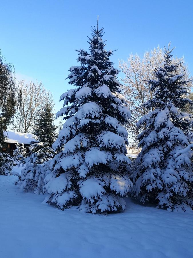 Domek Na Skraju Wsi Dostep Do Jeziora Ublik Villa Konopki Wielkie Dış mekan fotoğraf